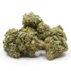 Buy Crazy Glue weed strain online