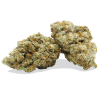 Buy Dolato weed strain online USA