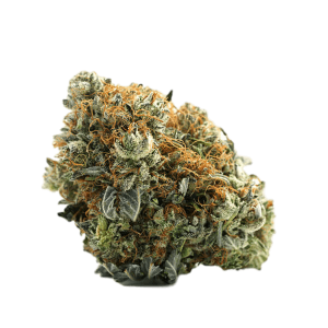 Buy marijuana online Latin American