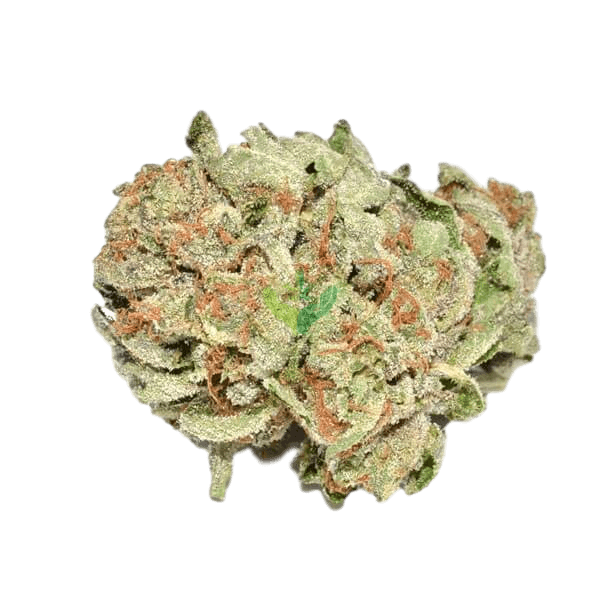 Buy Tuna Kush Strain Online