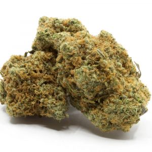 Buy Violator Kush strain online USA