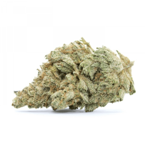 Buy White Widow strain online USA