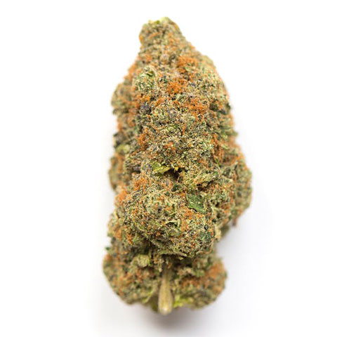 Buy lavender Kush Strain Online