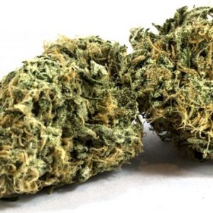 Buy Zombie Kush strain online USA