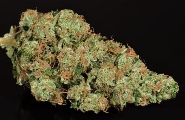 Buy Sour Diesel Online USA