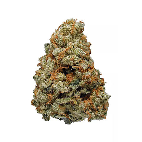 Buy White Haze Strain online